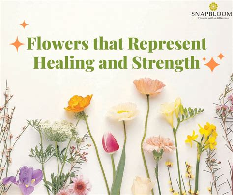 Flowers that represent healing. Things To Know About Flowers that represent healing. 