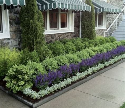Flowers to plant in front of boxwoods