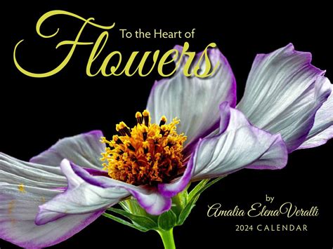 Read Online Flowers 2020 Calendar By Amalia Elena Veralli