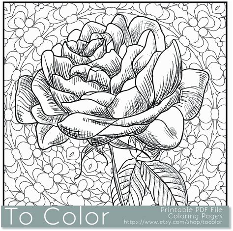 Download Flowers Coloring Book For Adults By Happy Coloring