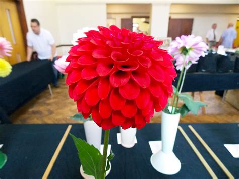 🔥 Flowers222 Onlyfans Leak [SEX VIDEO]