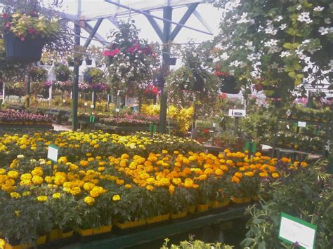 Flowerworld - Flower World Wholesalers is a retail business that provides fresh cut flowers, floral arrangement services, floral accessories and décor. We focus on providing a wide range …