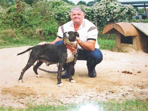Floyd boudreaux pitbulls. Patrick’s main stud dogs were Indian BOLIO and Patrick’s TOMBSTONE. These two dogs not only proved to be Game winning Pit dogs, but in Patrick’s hands turned out to be first class producers of equally good dogs. We at The TIMES feel that Patrick deserves lots of credit for his outstanding record of breeding good dogs. 