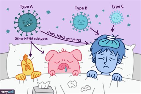 Flu aandb. The four types of influenza are A, B, C, and D. Types A and B are widespread during most winters in the United States. Type C is milder than types A or B and does not spread as easily. Type D ... 