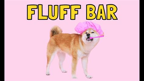 Fluff Bar - Pet Products - Scottsdale, Arizona