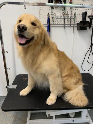 Fluffy Paws Pet Salon Windham ME - #1 Affordable Dog Groomers