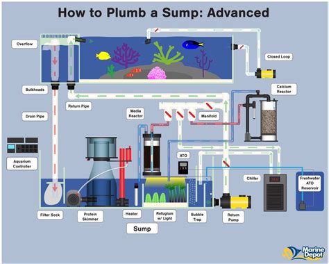 Fluidized reactors-a little more help please... The Reef Tank