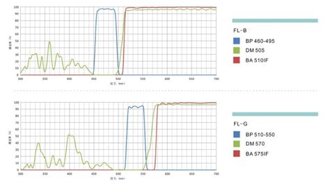 Fluorescence Filter Guidelines - Meiji Techno