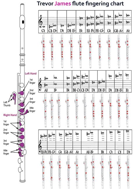 Flute - vcisinc.com