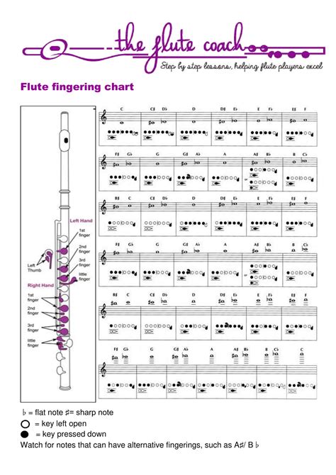 Flute finger chart for beginners pdf.  The exact fingering positions of 3rd octa...
