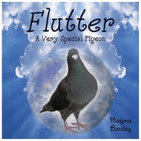 Flutter A Very Special Pigeon