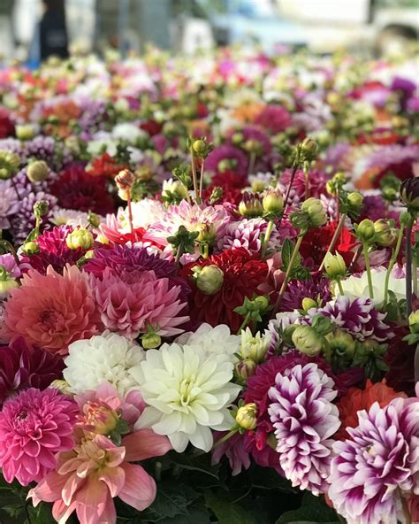 Flwrs Leaked [CLIP] 💦 91 Pics