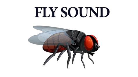 Fly Buzzing Sound Effect Butto APK Download for Android 