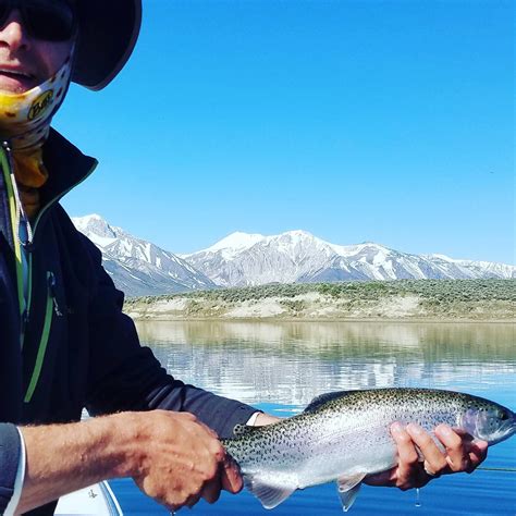 Fly Fishing Guide Service - Mammoth Lakes, Crowley Lake, …