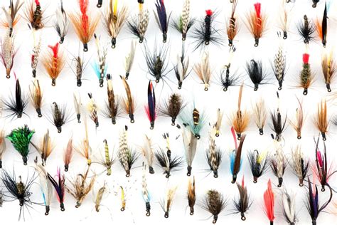 Fly Fishing Patterns For Trou