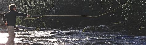 Fly Fishing School Great Smoky Mountains Little River Outfitters