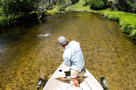 Fly Fishing Traverse City - Hawkins Outfitters