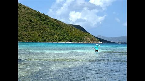 Fly Fishing in the US Virgin Islands - DIY Fly Fishing Informative