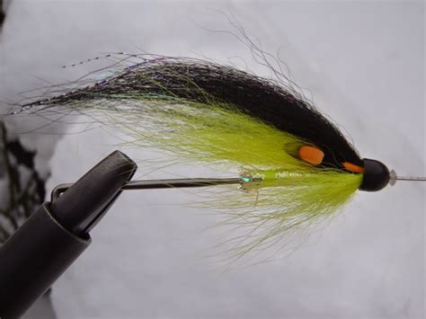 Fly Tying Tay Salmon Fly: Fishing Flies & Tackle