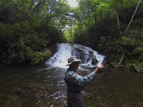 Fly fishermans guide to the great smoky mountains national park. - Download del manuale di servizio di john deere 6400.