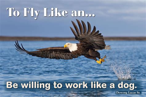 Fly like an eagle. Things To Know About Fly like an eagle. 