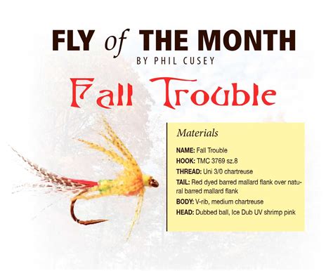 Fly of the Month