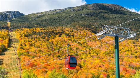 North America ». United States ». Vermont. $246. Flights to Burlington, Vermont, Vermont. Find flights to Vermont from $169. Fly from Houston on American Airlines, Delta, United Airlines and more. Search for Vermont flights on KAYAK now to find the best deal.. 