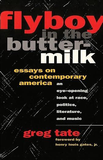 Flyboy in the Buttermilk : Essays on Contemporary …