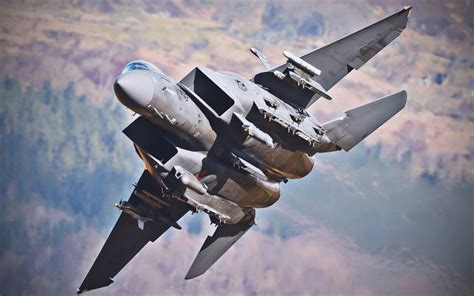 Flygande f&aring;glar: En detaljerad studie om deras natur och historia