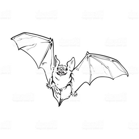 Flying Bat Drawing