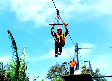 Flying Fox Game: How to Watch Live TV on Fox Sports: A Comprehensive Guide image 1