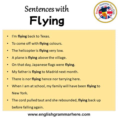 Flying In A Sentence Short Example Sentence For Flying