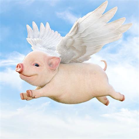 Flying Piggy