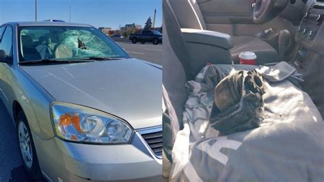 Flying debris smashes through car’s windshield on Toronto highway
