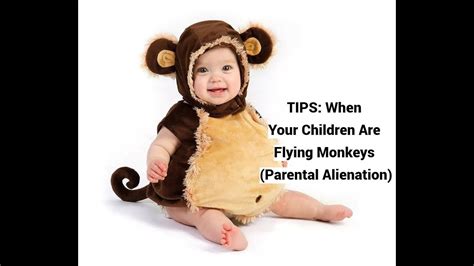 Flying monkeys parental alienation.  Sam Vaknin 406K subscribers 841.  In the context...