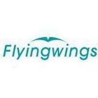 Flyingwings - Overview, News & Competitors ZoomInfo.com