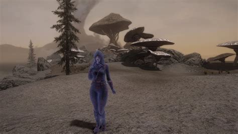 FNIS SE is a mod that allows you to add va