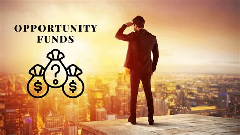 An opportunities fund invests in companies, sectors or investment