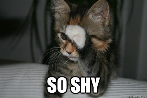 Synonyms for SHY: timid, fearful, scary,