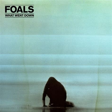 Foals: What Went Down =CD= eBay