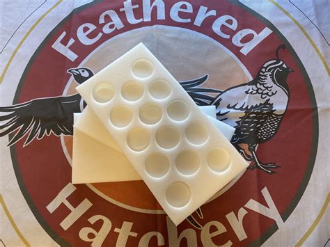 Foam Egg Shippers – Feathered Hatchery