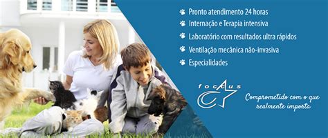 Foccus Veterinario LinkedIn