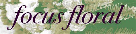 Focus Floral - Naples, FL Florist - BloomNation