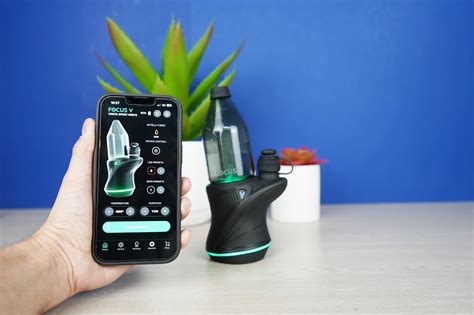 Focus v carta app download. .  ...