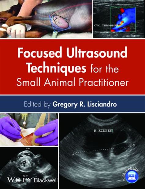 Read Online Focused Ultrasound Techniques For The Small Animal Practitioner By Gregory R Lisciandro