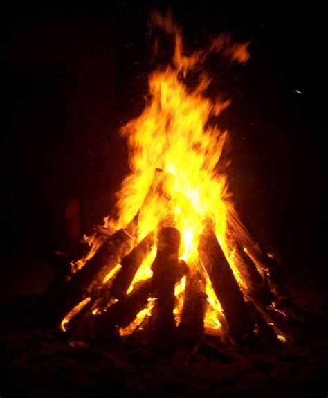 Fogata. Learn the meaning and usage of the Spanish word fogata, which means bonfire or blaze, with examples and translations in context. Find out how to say fogata in English and how to conjugate it in Spanish. 