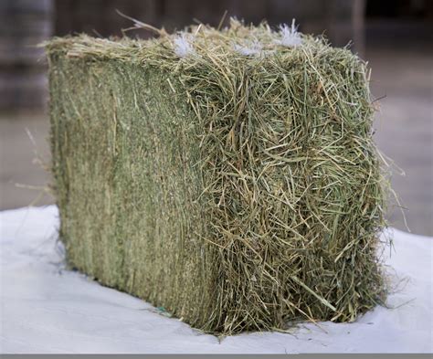 Foin pour les chèvres - Douliere Hay France