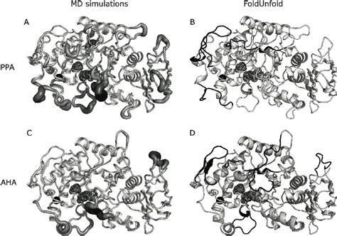 FoldUnfold: web server for the prediction of disordered regions in ...