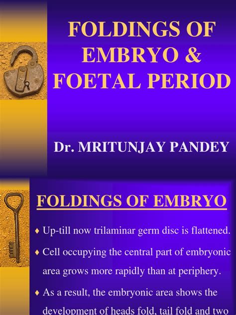 Foldings of Embryo Foetal Period 1 PDF Fetus Anatomy - Scribd