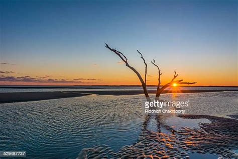 Folly Photos and Premium High Res Pictures - Getty Images